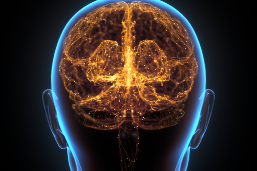 La estimulación cerebral conduce a mejoras duraderas en la memoria