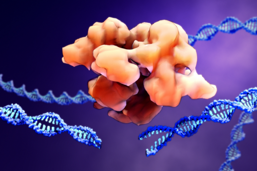 Edición del genoma CRISPR