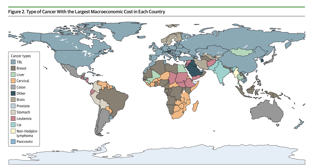Proyecciones del costo económico mundial de 29 tipos de cáncer en 204 países y territorios de 2020 a 2050